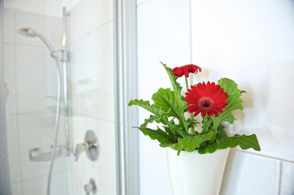 Greenhome Appartement Niedernsill Rom bilde