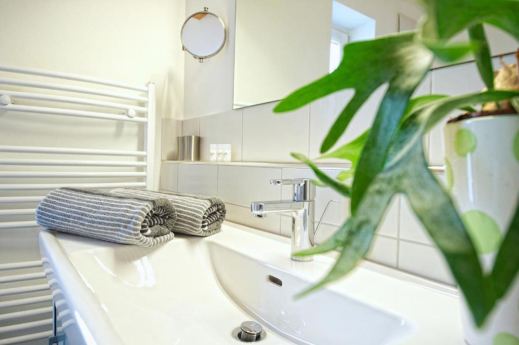 Greenhome Appartement Niedernsill Rom bilde