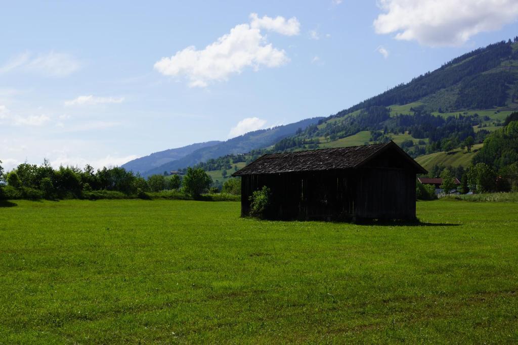 Greenhome Appartement Niedernsill Rom bilde